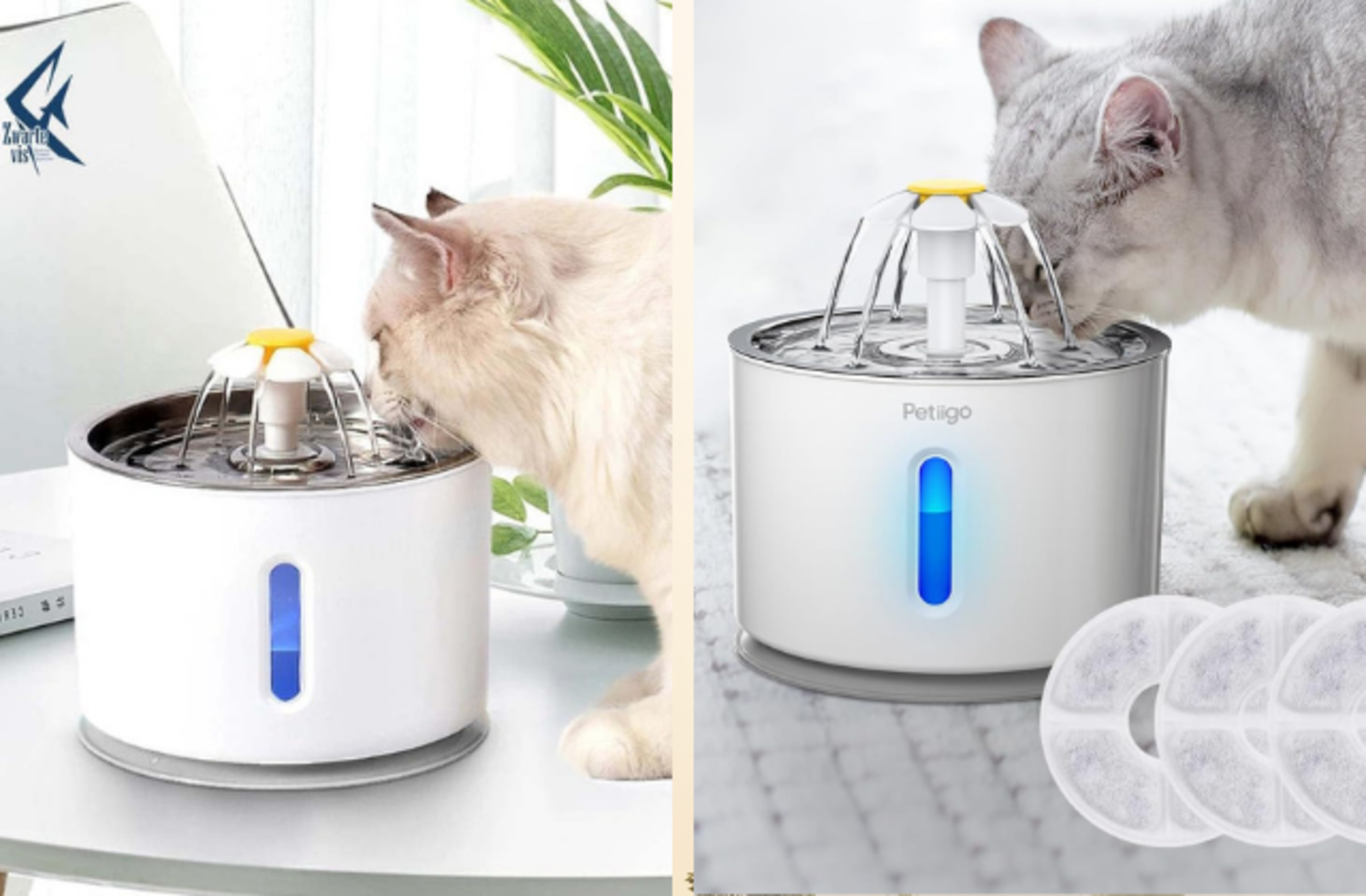 Kedilerinize su içmeyi sevdirecek en iyi kedi su pınarı çeşitleri