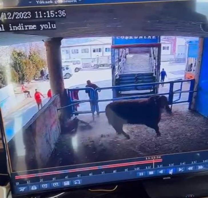 Boğanın saldırdığı mezbaha çalışanı yaşamını yitirdi; o anlar kamerada G3