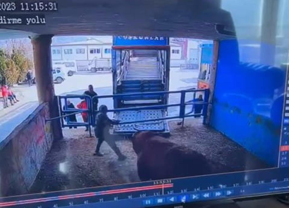 Boğanın saldırdığı mezbaha &ccedil;alışanı yaşamını yitirdi; o anlar kamerada