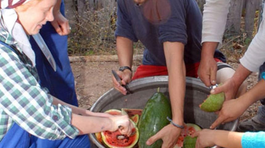 Kansere Karşı Karpuz Pekmezi