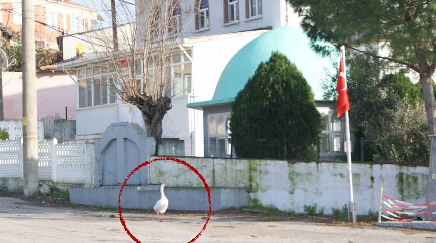 Her ezan okunduğunda camiye gidiyor! Bir mahalle şaşkın