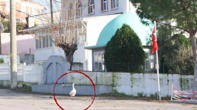 Her ezan okunduğunda camiye gidiyor! Bir mahalle şaşkın