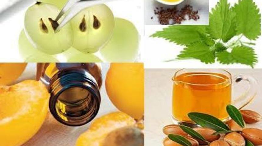 Gen&ccedil;lik Getiren Form&uuml;ller