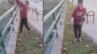 TikTok'ta dikkat çekmek için kediyi ırmağa atmışlardı, yakalandılar