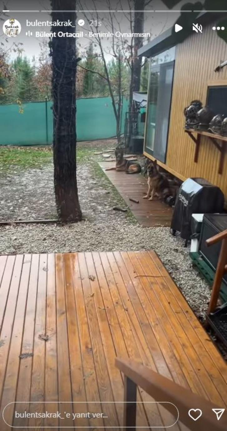 Ceyda Düvenci ile tek celsede boşanmıştı! Bülent Şakrak doğayla iç içe tiny house'da yaşıyor G4