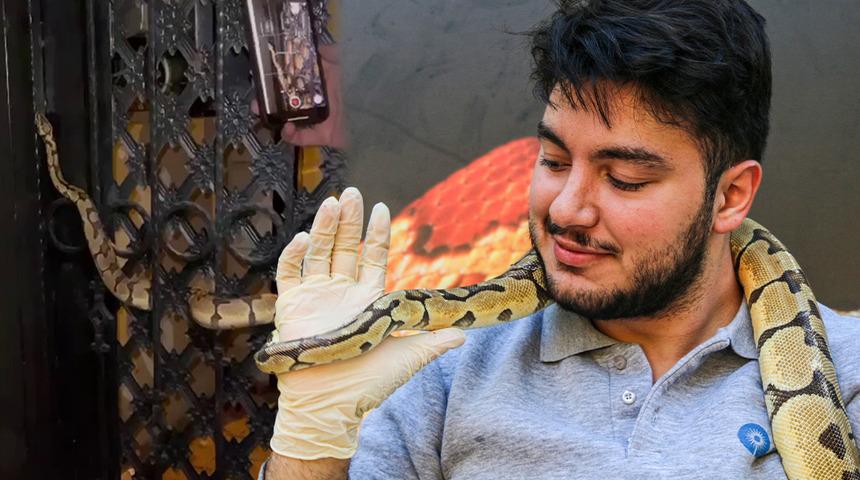 Antalya’da bir mahalleye korku salmıştı! Boyu 1 metreyi aşan kral pitonu böyle seviyorlar