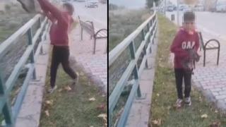 Yine TikTok yine olay! Bu kez yapan değil, çeken sınır dışı edilecek