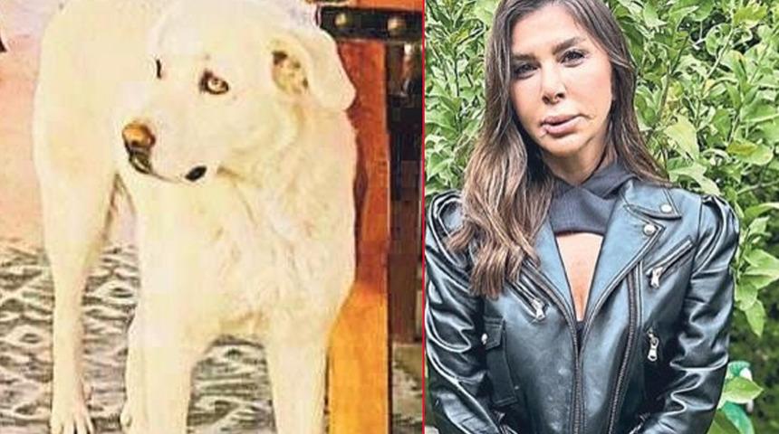 Yer: İzmir! Bir anda üzerine atladı, dudağını kopardı: Stilist kadın kabusu yaşadı