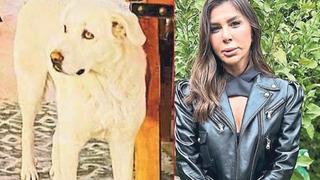 Yer: İzmir! Bir anda üzerine atladı, dudağını kopardı: Stilist kadın kabusu yaşadı