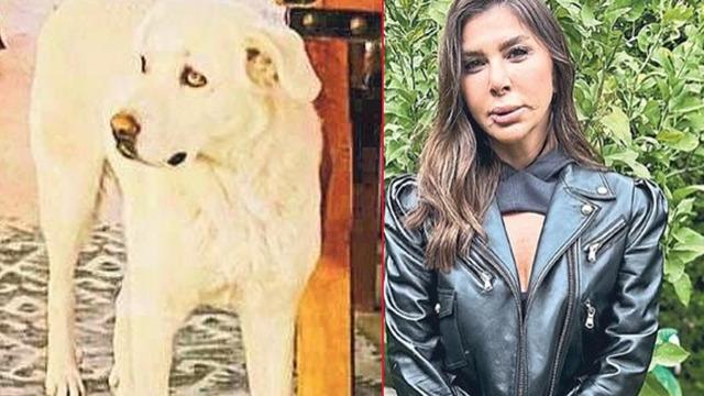 Yer: İzmir! Bir anda üzerine atladı, dudağını kopardı: Stilist kadın kabusu yaşadı