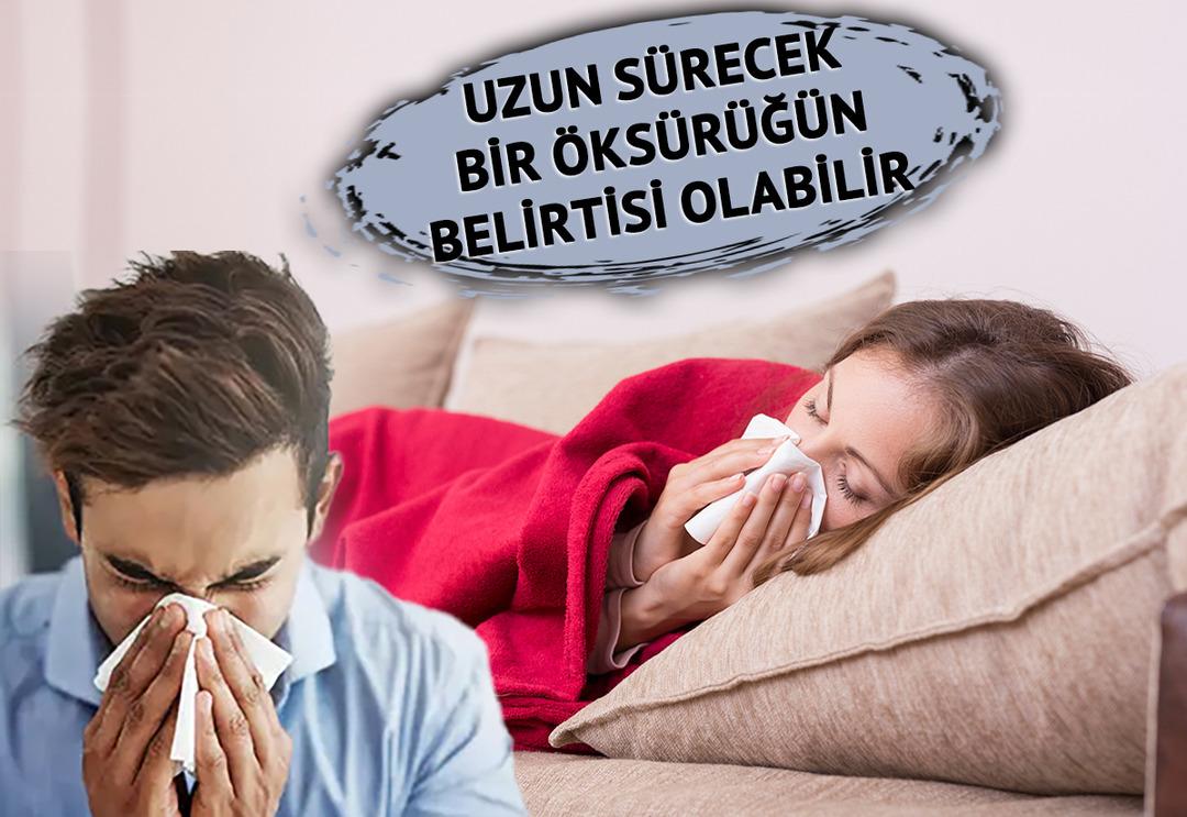 Grip hastalığının bu &ouml;zellikleri ilk kez ortaya &ccedil;ıktı! Etkisi aylarca devam ediyor, tedavisi de yok; uzun s&uuml;ren &ouml;ks&uuml;r&uuml;klere dikkat...