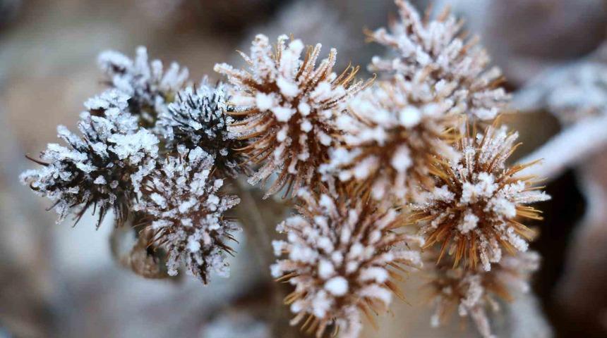 Sivas adeta buz kesti, göller kısmen dondu
