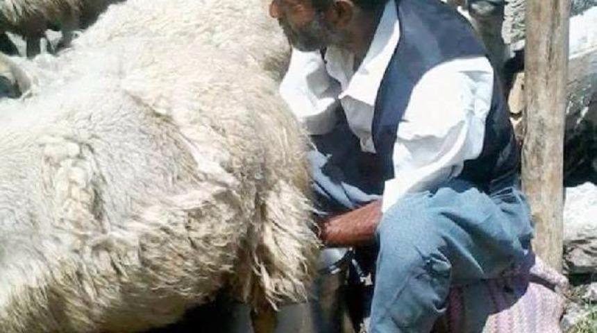 Hayvanları otlatmaya götüren çoban, ölü bulundu 