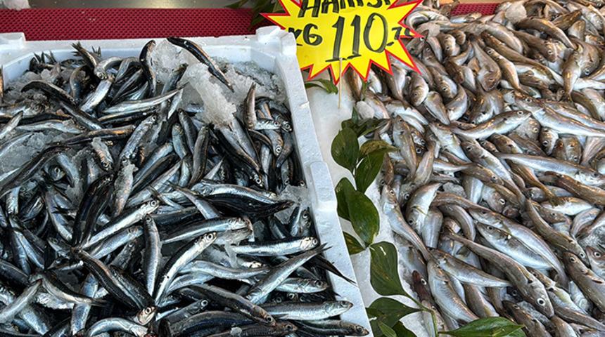 Fırtına hamsiyi de vurdu! Hamsinin fiyatı 110 liraya yükseldi