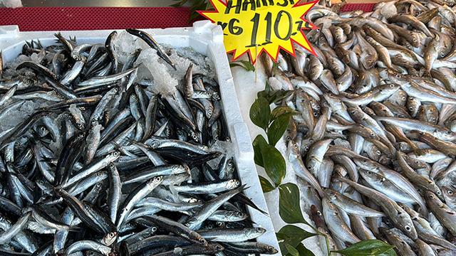 Fırtına hamsiyi de vurdu! Hamsinin fiyatı 110 liraya yükseldi