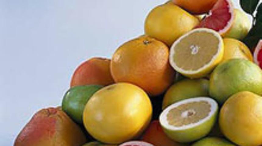 Turun&ccedil;gil Mevsimi Geldi