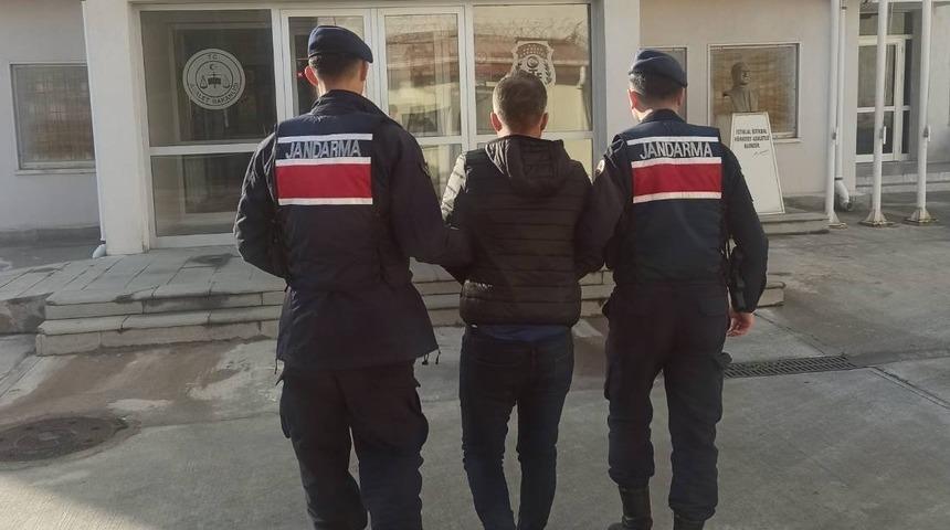 Aydın jandarmasından eş zamanlı operasyon: 15 gözaltı