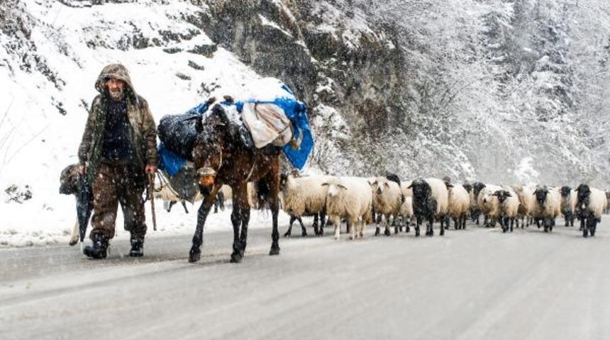 Doğu Karadeniz’de kış güzelliği