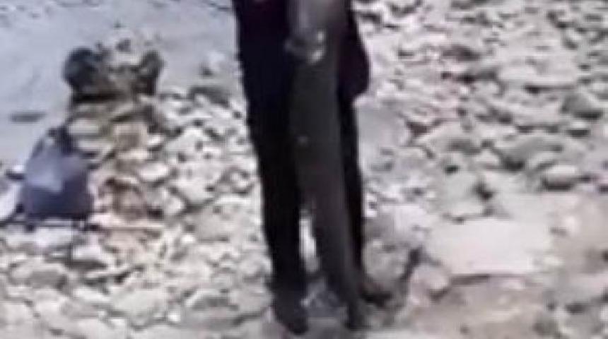 Amatör balıkçının oltasına 40 kiloluk yayın balığı takıldı