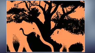 Kişilik Testi: Bu resimde ilk ne görüyorsunuz? Seçtiğiniz hayvan karakterinizi ortaya çıkarıyor