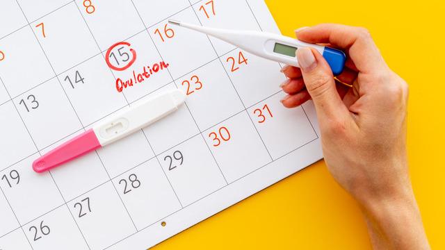 Yumurtlama dönemi ne zaman başlar, ne zaman biter?