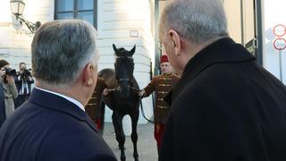 Erdoğan'ın tek jesti Togg değilmiş! İkinci hediyeyi duyan Macaristan Cumhurbaşkanı: Ben de istiyorum