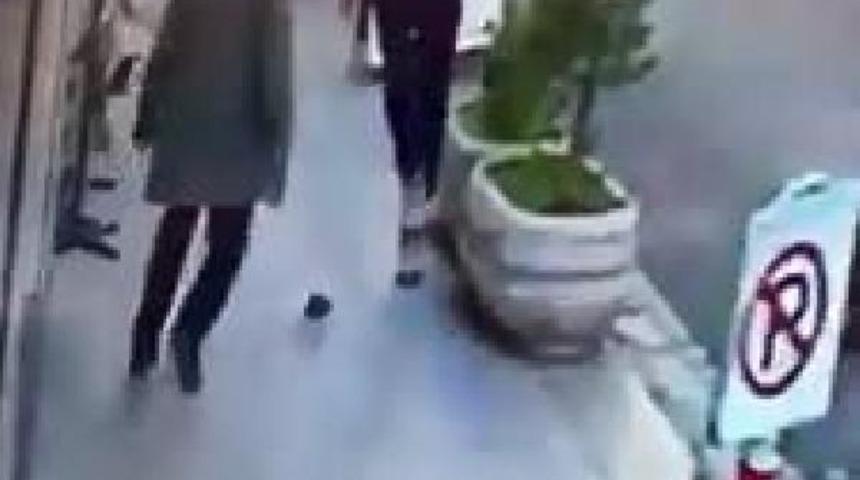 Fareyi kovalayan dede, sosyal medyada ilgiyle izleniyor