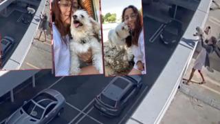 Güvenlik kamerasına yansıyan skandal görüntüler! Otoparkın en üst katına çıkarak köpeğini aşağıya fırlattı... Saniye saniye böyle kaydedildi