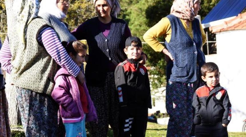 Mahkeme çam ağaçlarının kesilmesini durdurdu