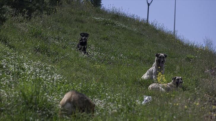 Emeklilere özel indirim! Yerel seçimler öncesi AK Parti’den yeni çalışma: İşte Cumhurbaşkanı Erdoğan’ın masasındaki plan… G3