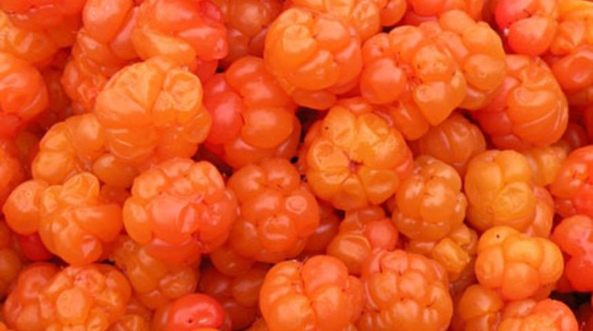 V&uuml;cudunuzu Kışa Hazırlayın