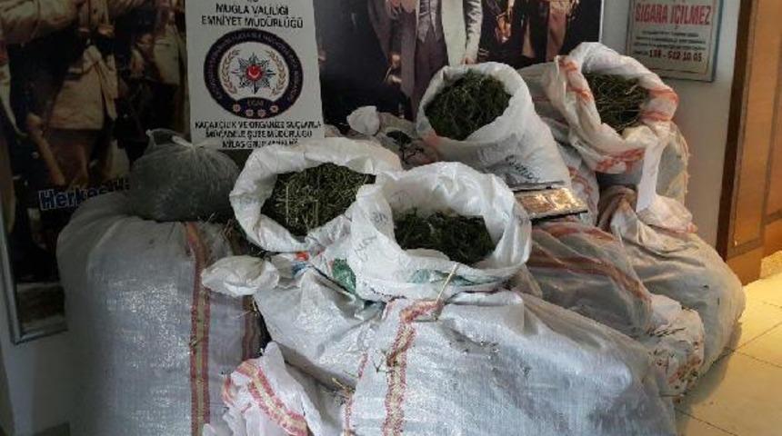 Milas'ta 122 kilo esrar ele geçirildi