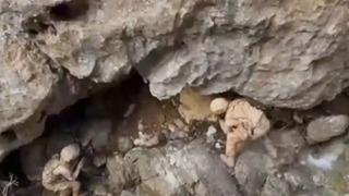 SON DAKİKA | Bakan Yerlikaya duyurdu! Terör örgütüne 10 ilde darbe... Hepsi imha edildi