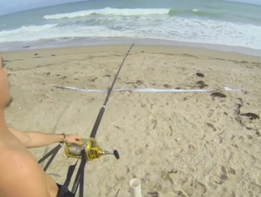 12 metrelik köpek balığını oltayla yakaladı! Sonrası ölüm kalım savaşına döndü