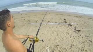 Görenler gözlerine inanamadı! 12 metrelik köpek balığını oltayla yakaladı... Denize geri böyle bıraktı 