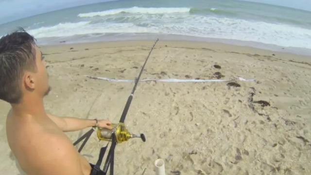 Görenler gözlerine inanamadı! 12 metrelik köpek balığını oltayla yakaladı... Denize geri böyle bıraktı 