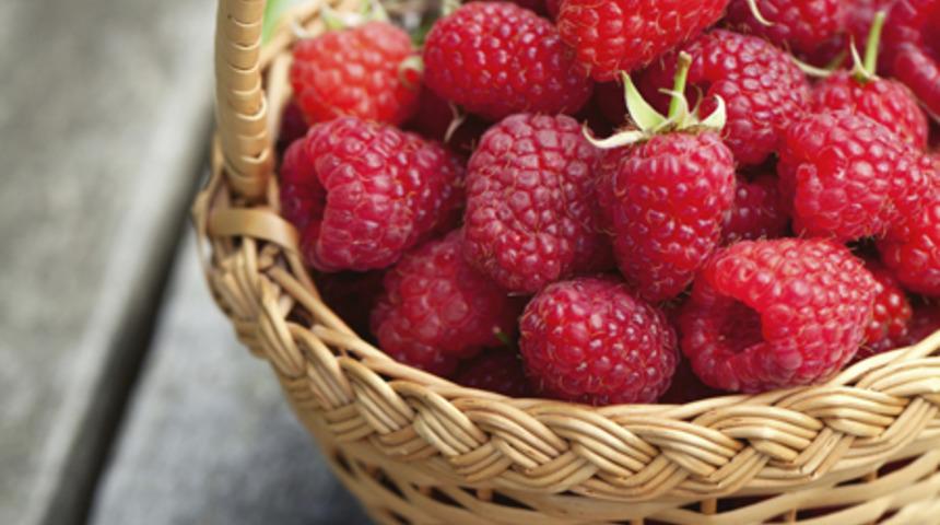 Sağlık İ&ccedil;in 7 Lifli Gıda