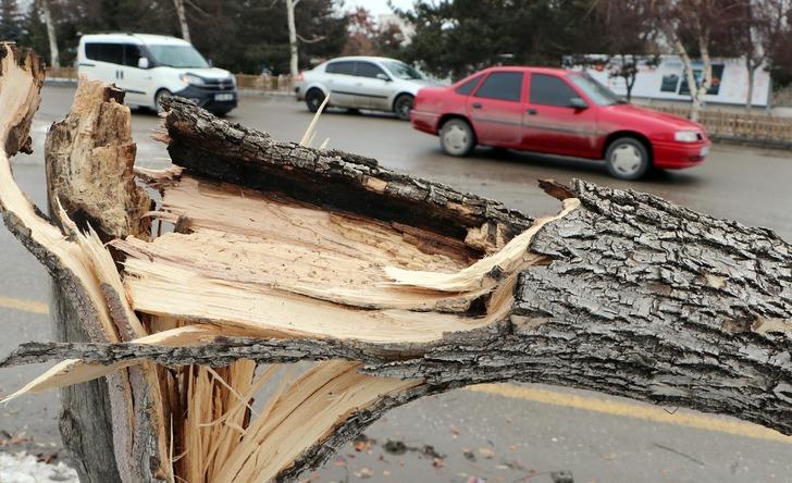 Kuvvetli fırtına iki şehri esir aldı! Rize ve Erzurum'da çatılar uçtu, ağaçlar devrildi G2