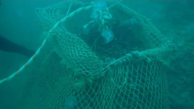 Sarıyer’de 4 buçuk ton kaçak midye ele geçirildi