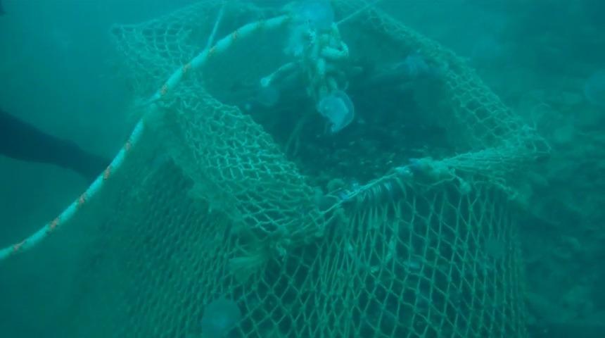 Sarıyer’de 4 buçuk ton kaçak midye ele geçirildi