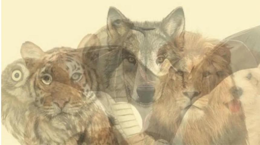 Gizli tarafınızı keşfetmeye hazır olun! Bu kişilik testi karakterinizi ortaya çıkarıyor