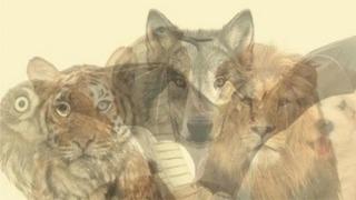 Gizli tarafınızı keşfetmeye hazır olun! Bu kişilik testi karakterinizi ortaya çıkarıyor