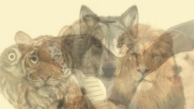 Gizli tarafınızı keşfetmeye hazır olun! Bu kişilik testi karakterinizi ortaya çıkarıyor