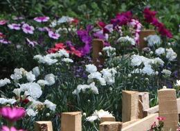 73 ülkeye 140 milyon dolarlık çiçek ihracatı