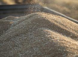 Hububat üretiminde rekor bekleniyor