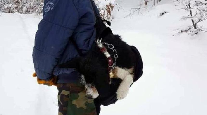 Rahatsızlanan k&ouml;peğini karda 7 kilometre sırtında taşıdı