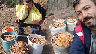 Her sene aynısını yapıyor! Ormandan toplayıp satıyor, aylık kazancı 90 bin lira…