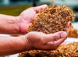 Sigara ve tütün ürünleri için ÖTV düzenlemesi... Karar Resmi Gazete'den duyuruldu: Uygulanmayacak!