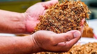 Sigara ve tütün ürünleri için ÖTV düzenlemesi... Karar Resmi Gazete'den duyuruldu: Uygulanmayacak!