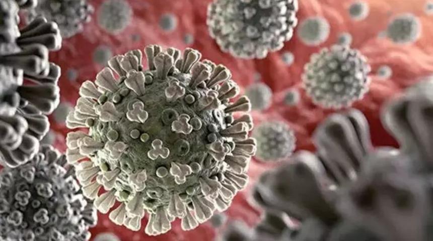 Aman dikkat, uzmanından koronavirüse karşı ‘yılbaşı’ uyarısı! Vaka sayısındaki artışı duyan inanamadı